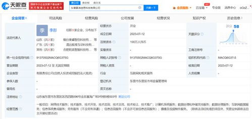 抖音成立新公司 加碼數據處理與存儲服務，構建數字生態新基石